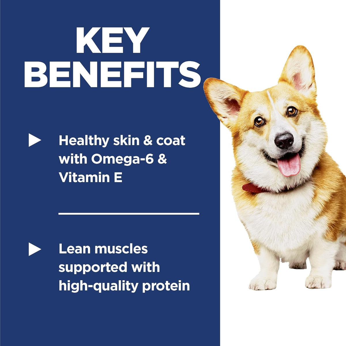 Hill's Science Diet Adult 1-6 Small Bites Dry Dog Food