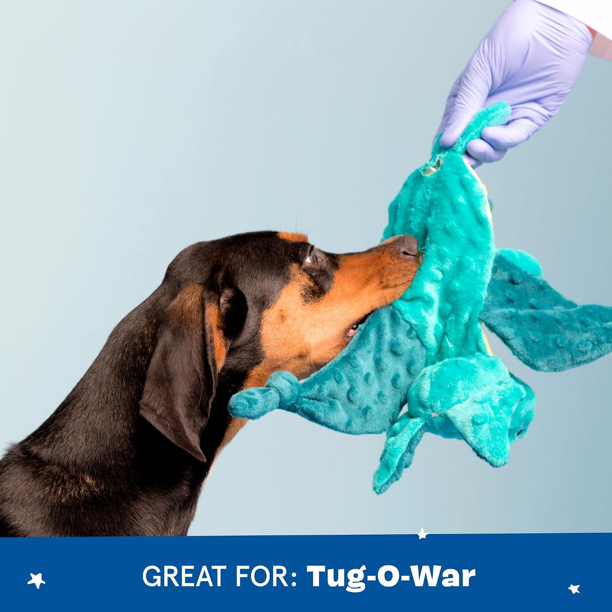 BARKBOX Best of BarkBox Interactive Plush Dog Toy Bundle