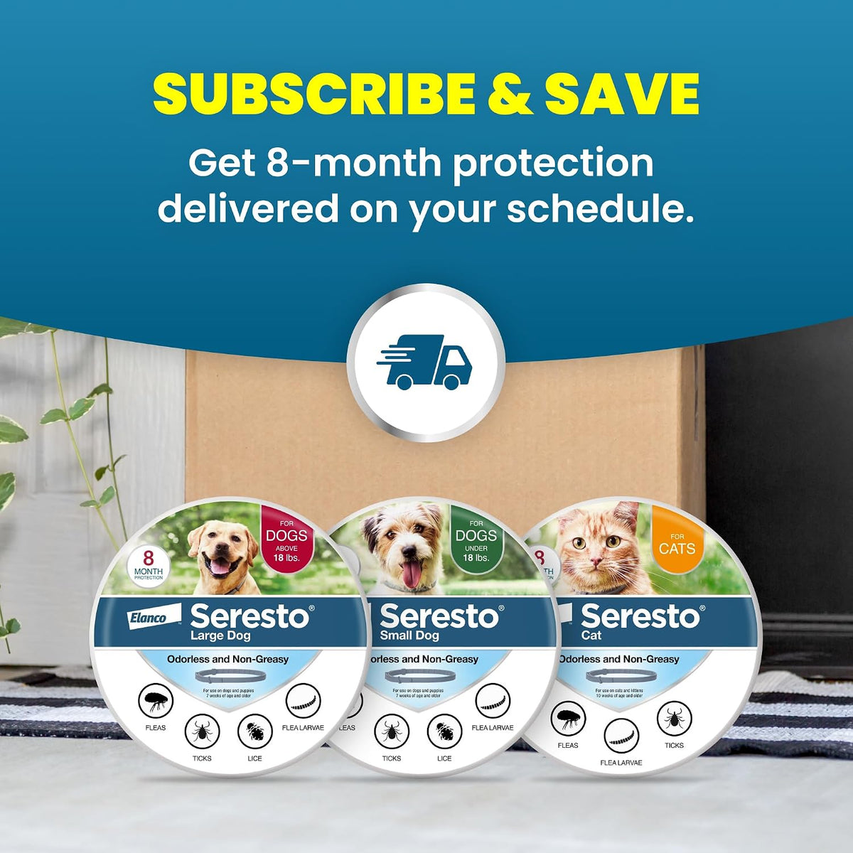 Seresto 8-Month Flea & Tick Collar for Large Dogs Over 18 lbs., 1ct