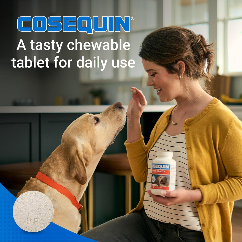 Nutramax Cosequin Maximum Strength Joint Health Supplement for Dogs - with Glucosamine, Chondroitin, MSM, and Hyaluronic Acid, 75 Chewable Tablets