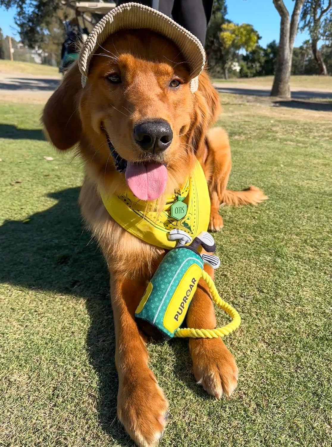 PUPROAR Golf Dog Toy, Dog Birthday Gift, Funny Squeaky Plush Rope Golf Bag Toy for Small, Medium & Large Breeds