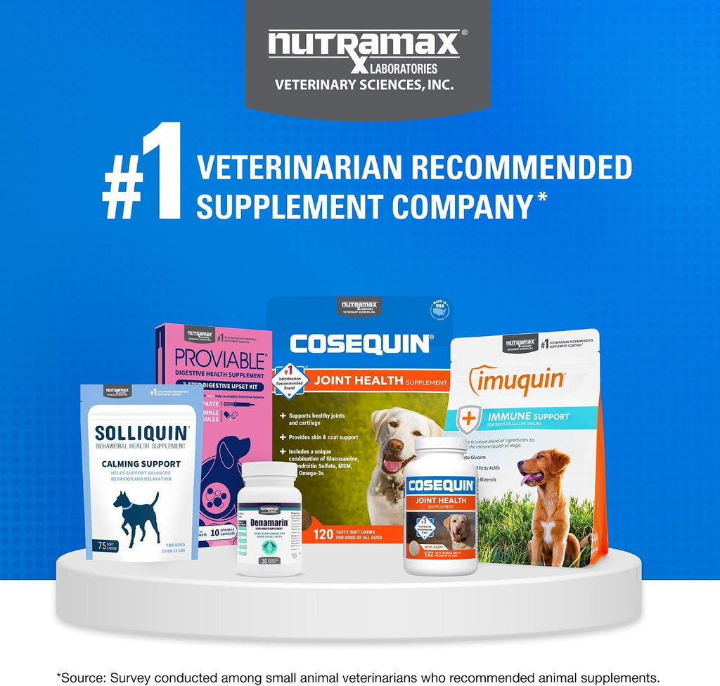 Nutramax Cosequin Maximum Strength Joint Health Supplement for Dogs - with Glucosamine, Chondroitin, MSM, and Hyaluronic Acid, 75 Chewable Tablets