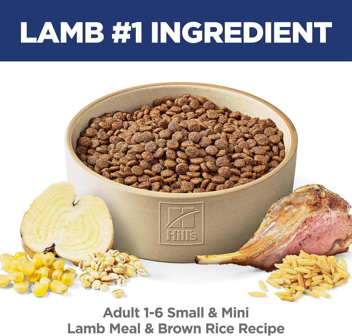Hill's Science Diet Adult 1-6 Small & Mini Dry Dog Food